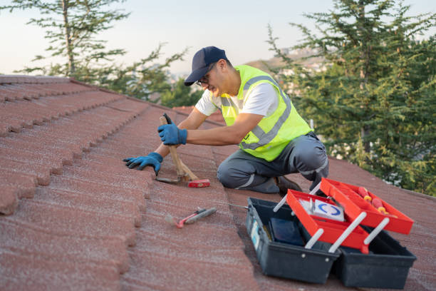 Professional Roofing Contractor in Hugo, MN